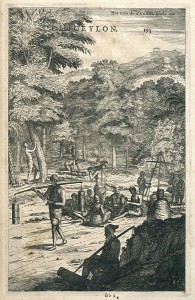 Hoe men de Caneel schilt opt Eyland Ceylon [peeling cinnamon in Ceylon], c.1672. By Anonymous (engraver), Johannes Janssonius Waasbergen (publisher)