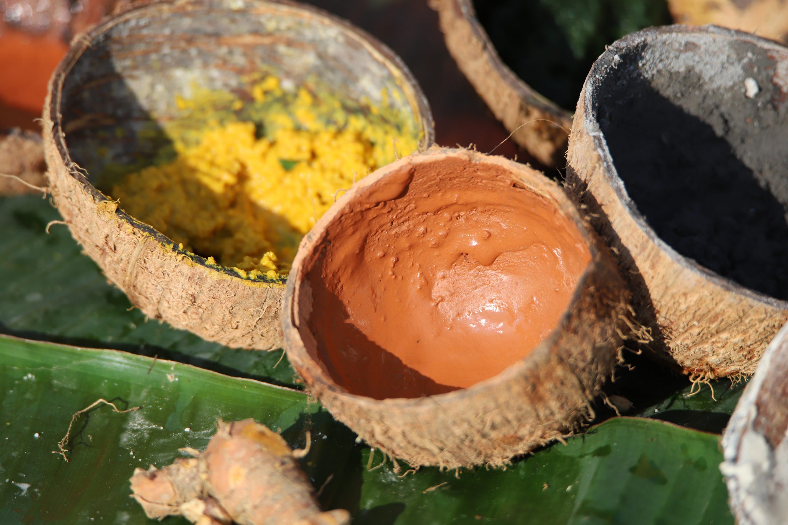 Coconut shells holding colour